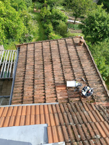 Photo de galerie - Demoussage manuel 