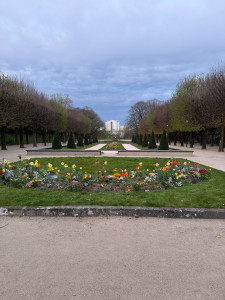 Photo de galerie - Création et entretien de massifs 
