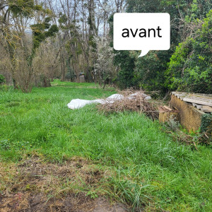 Photo de galerie - Remise en état d'un terrain. Tonte et debroussailleuse avec ramassage 