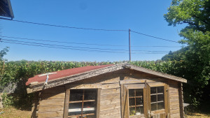 Photo de galerie - Taille de haie 