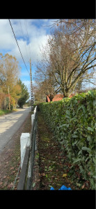 Photo de galerie - Taille de haie et ramassage des déchets verts. Remis en déchetterie.