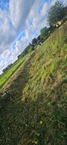 Photo de galerie - Tonte de pelouse - Débroussaillage