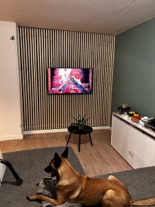 Photo de galerie - Artisan d'art