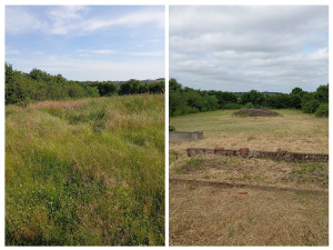 Photo de galerie - Tonte de pelouse - Débroussaillage