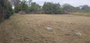 Photo de galerie - 800m2 après débroussaillage 