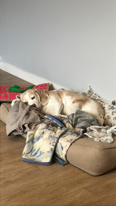 Photo de galerie - Mana qui fait un gros dodo