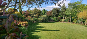 Photo de galerie - Paysagiste - Aménagement du jardin