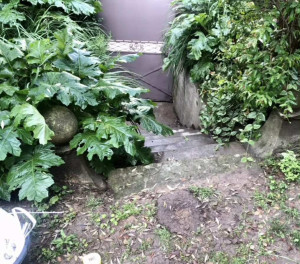 Photo de galerie - Jardinier