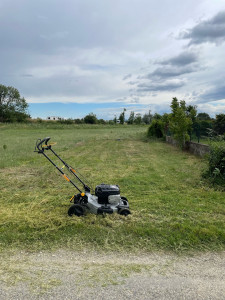 Photo de galerie - Tonte de pelouse - Débroussaillage