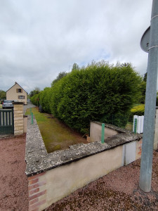 Photo de galerie - Chantier à joue les tours 

taille de haie avec rabattage du dessus, longueur de la haie 100 m linéaires.
avec que l'évacuation des Déchets 