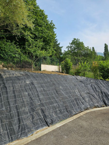 Photo de galerie - Désherbage après 