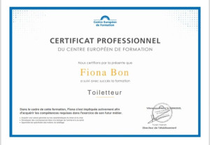 Photo de galerie - Certification toilettage