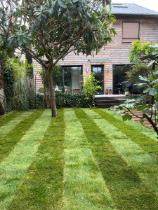 Photo de galerie - Pose gazon en rouleaux 