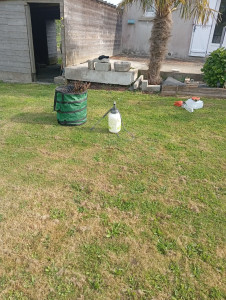 Photo de galerie - Tonte de pelouse - Débroussaillage