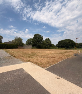 Photo de galerie - Débroussaillage avec des herbes de 2 m de haut