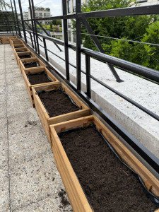 Photo de galerie - Paysagiste - Aménagement du jardin