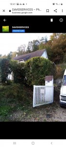 Photo de galerie - Taille de haies et d'arbustes