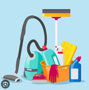 Photo de galerie - Ménage et repassage ? 