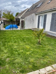 Photo de galerie - Tonte de pelouse - Débroussaillage