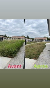 Photo de galerie - Tonte de pelouse - Débroussaillage