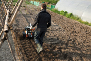 Photo de galerie - Motoculteur dans le potager, pour préparer le terrain avant les semis. 