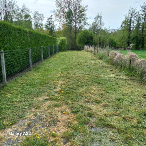 Photo de galerie - Débroussaillage de terrains envahis par la végétation