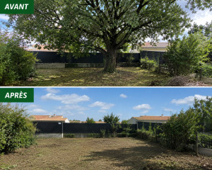 Photo de galerie - Abattage d'un arbre avant/après 