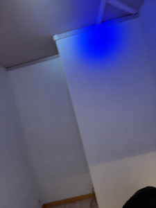 Photo de galerie - Peinture - Tapisserie