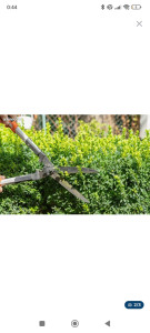 Photo de galerie - Taille de haies et d'arbustes