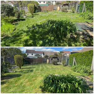 Photo de galerie - Tonte d’un terrain avec évacuation des déchets 