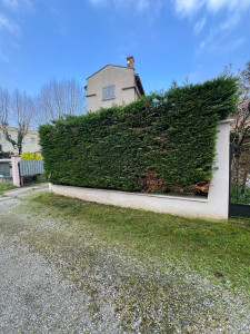 Photo de galerie - Taille de haies et d'arbustes