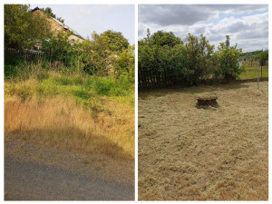 Photo de galerie - Tonte de pelouse - Débroussaillage