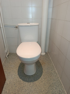 Photo de galerie - Remplacement wc