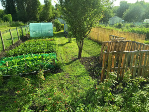 Photo de galerie - Voilà mon jardin que j'ai commencé à faire en janvier.il était dans un état déplorable.