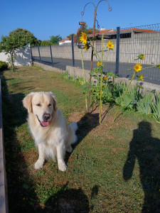Photo de galerie - Le beau Mambo 