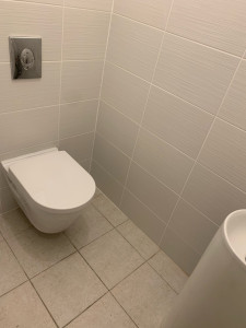 Photo de galerie - Wc suspendu, lave-mains et faïence 