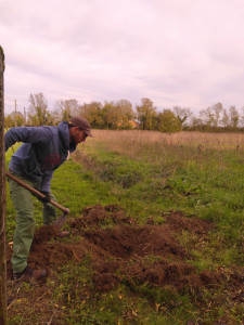 Photo de galerie - Paysagiste - Aménagement du jardin