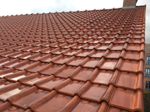 Photo de galerie - Anti mousse toiture