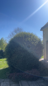 Photo de galerie - Paysagiste - Aménagement du jardin