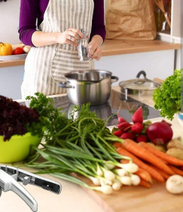 Photo de galerie - Des repas à votre choix. 