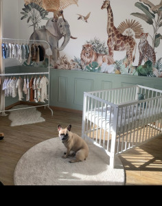 Photo de galerie - C’est la chambre de mon fils, pour laquelle j’ai créer les encadrements en partie basse et poser une tapisserie panoramique.