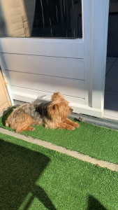 Photo de galerie - ?