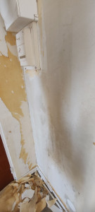 Photo de galerie - Peinture - Tapisserie