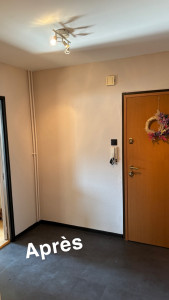 Photo de galerie - Rafraîchissement d’une entrée ( Mur, porte, plafond, placard et chambranle)