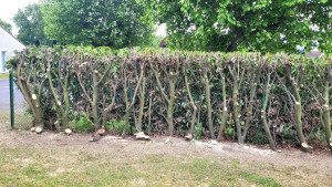 Photo de galerie - Après 