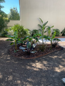 Photo de galerie - Création bosquet