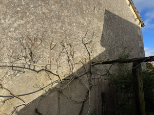 Photo de galerie - Paysagiste - Aménagement du jardin