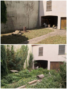 Photo de galerie - Débroussaillage 