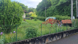 Photo de galerie - Tonte de pelouse - Débroussaillage