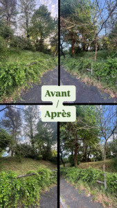 Photo de galerie - .